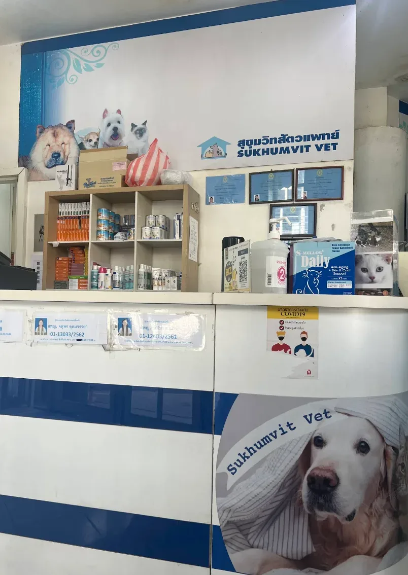 Sukhumvit Veterinarians คลินิก-โรงพยาบาลสัตว์ กรุงเทพมหานคร 5