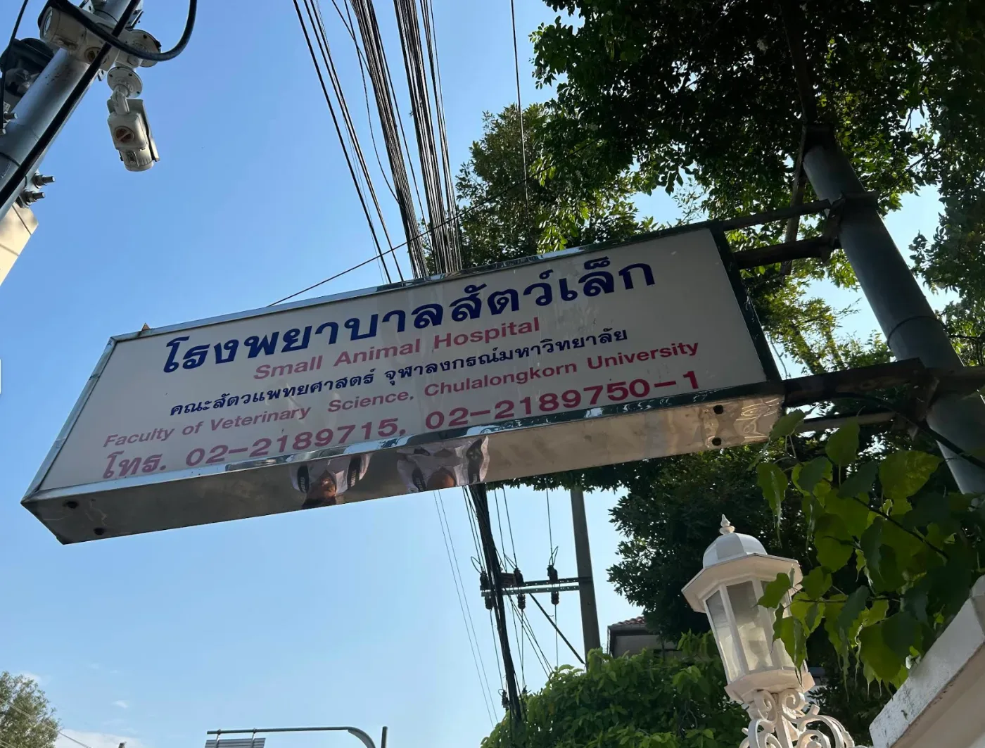 Faculty of Veterinary Science Chulalongkorn University คลินิก-โรงพยาบาลสัตว์ กรุงเทพมหานคร 2