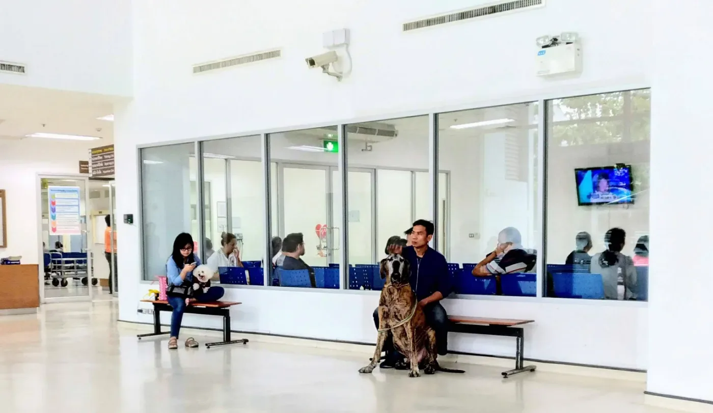 Faculty of Veterinary Science Chulalongkorn University คลินิก-โรงพยาบาลสัตว์ กรุงเทพมหานคร 6