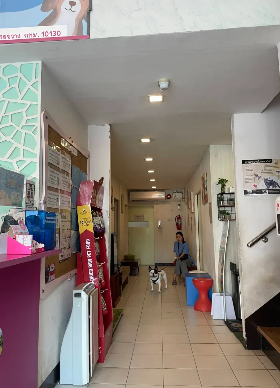 Animal Hospital Bangkok – Ratchada. คลินิก-โรงพยาบาลสัตว์ กรุงเทพมหานคร 2