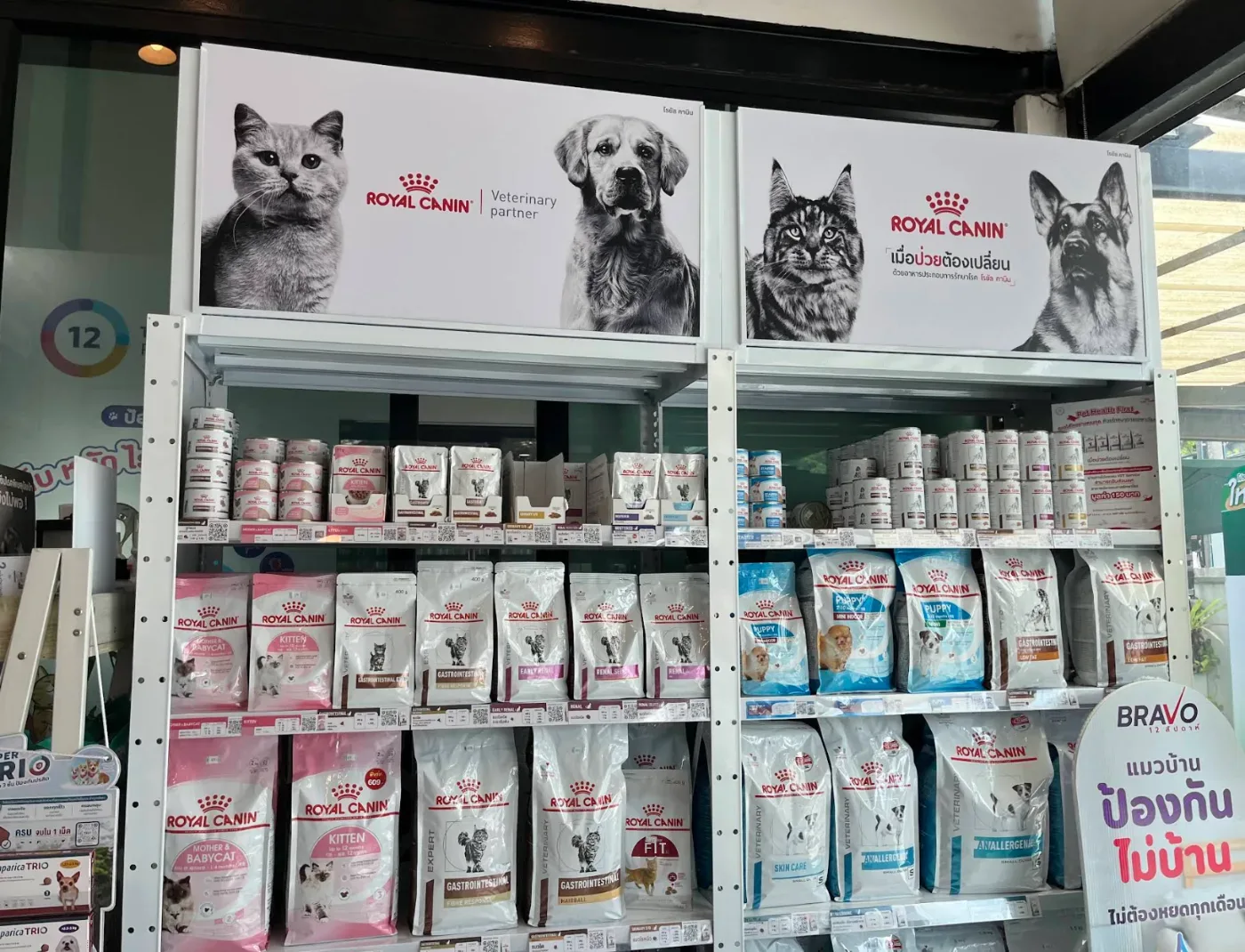 Animal Hospital Bangkok – Ratchada. คลินิก-โรงพยาบาลสัตว์ กรุงเทพมหานคร 4