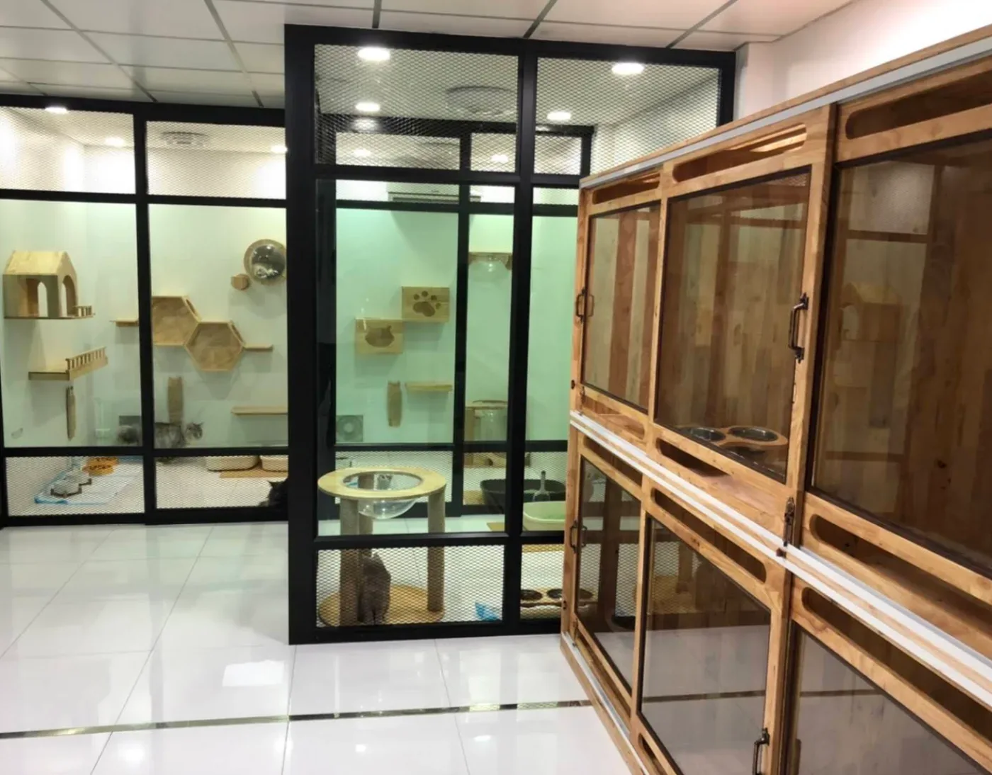 Thonglor Pet Wellness ทองหล่อ เพ็ท เวลเนส (ทองหล่อ ซอย 9) คลินิก-โรงพยาบาลสัตว์ กรุงเทพมหานคร 2
