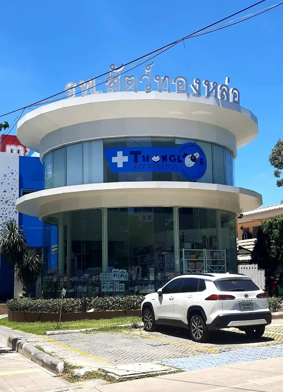 Thonglor Pet Wellness ทองหล่อ เพ็ท เวลเนส (ทองหล่อ ซอย 9) คลินิก-โรงพยาบาลสัตว์ กรุงเทพมหานคร 3