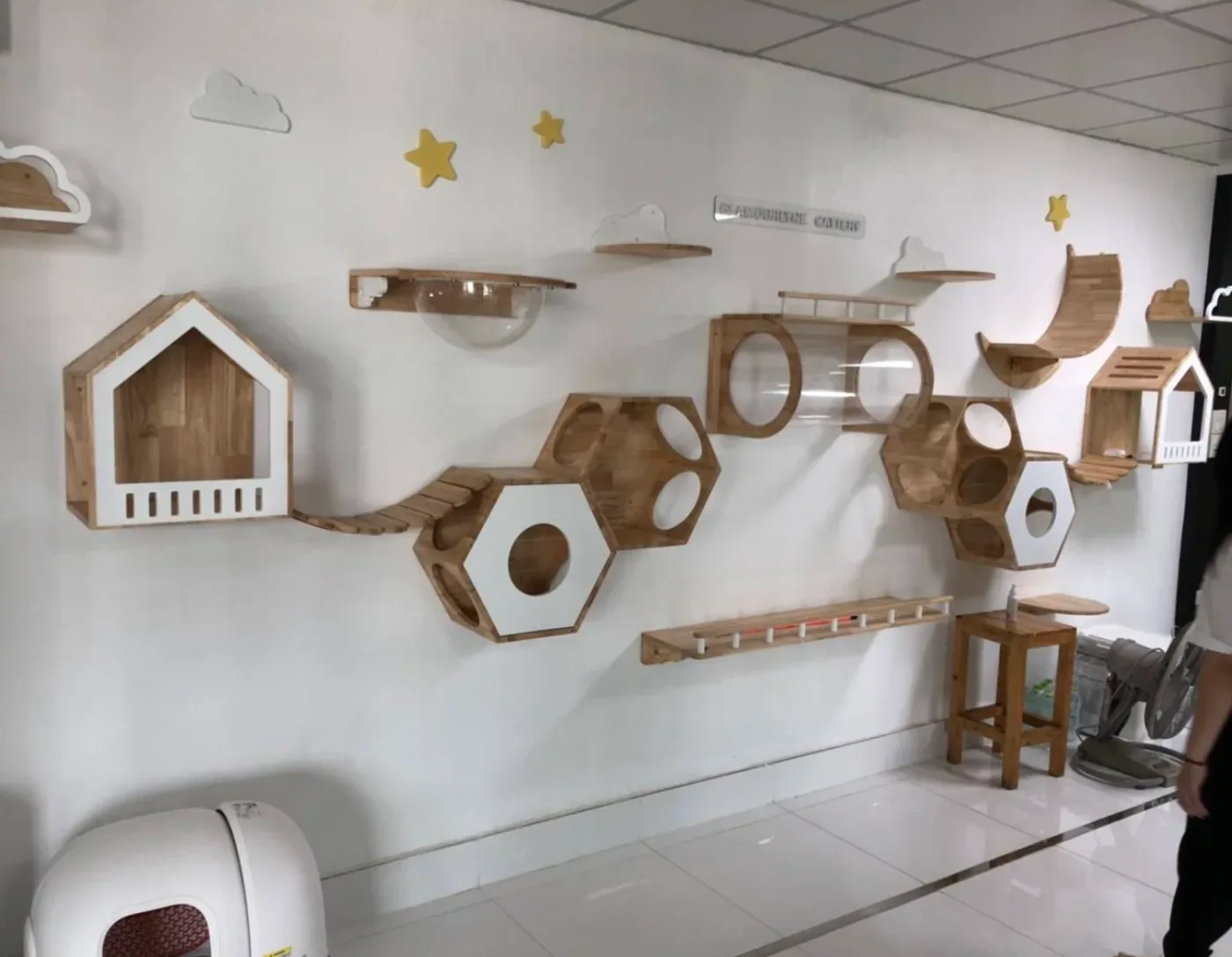 Thonglor Pet Wellness ทองหล่อ เพ็ท เวลเนส (ทองหล่อ ซอย 9) คลินิก-โรงพยาบาลสัตว์ กรุงเทพมหานคร 5