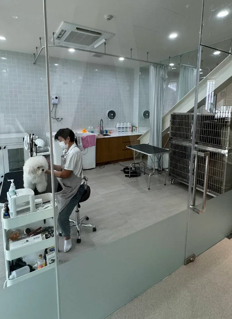 Arak Animal Hospital Thonglor โรงพยาบาลสัตว์อารักษ์ สาขาทองหล่อ คลินิก-โรงพยาบาลสัตว์ กรุงเทพมหานคร 6