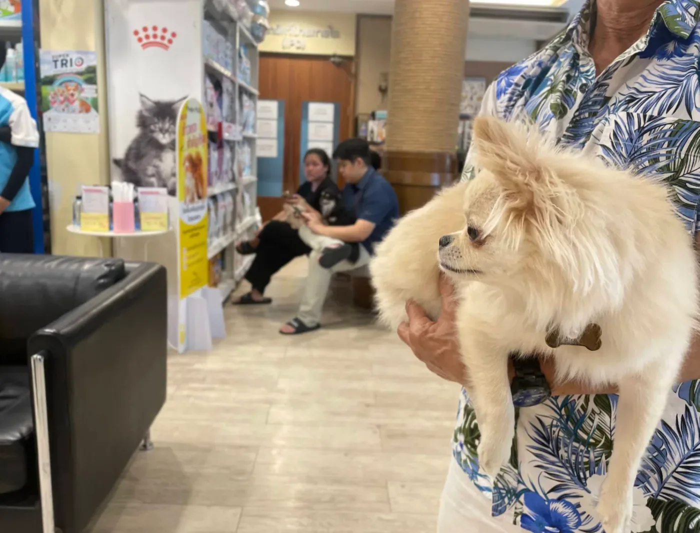 Oasis Animal Hospital คลินิก-โรงพยาบาลสัตว์ กรุงเทพมหานคร