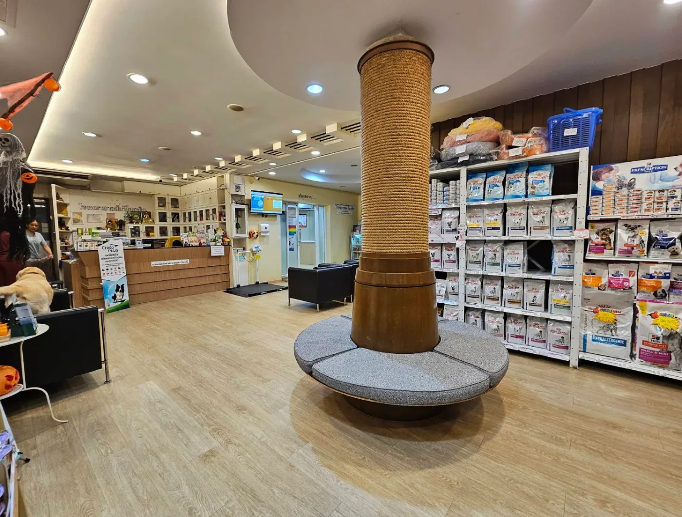 Oasis Animal Hospital คลินิก-โรงพยาบาลสัตว์ กรุงเทพมหานคร 3