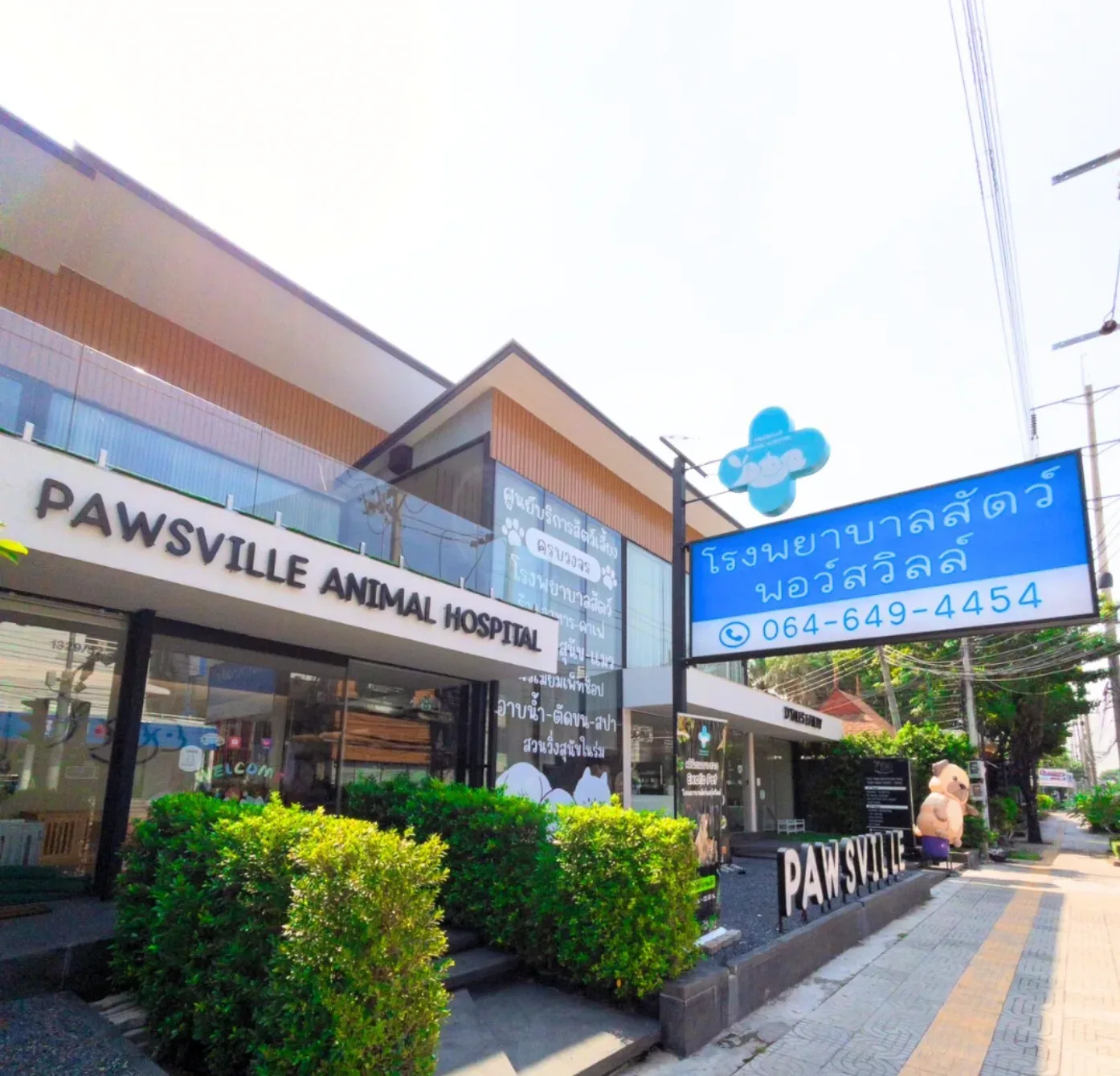 Pawsville Animal Hospital (โรงพยาบาลสัตว์ พอว์สวิลล์) คลินิก-โรงพยาบาลสัตว์ กรุงเทพมหานคร 3