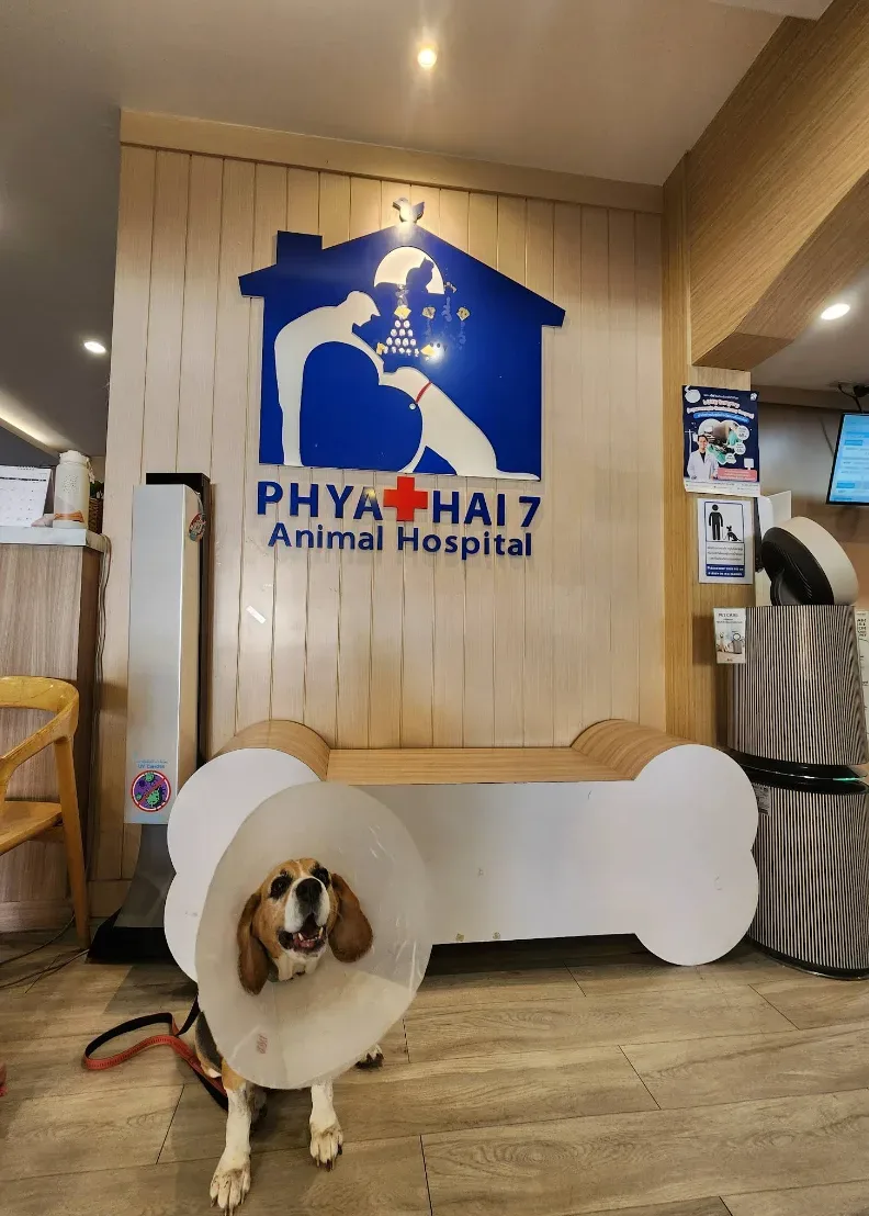 Phyathai 7 Animal Hospital คลินิก-โรงพยาบาลสัตว์ กรุงเทพมหานคร