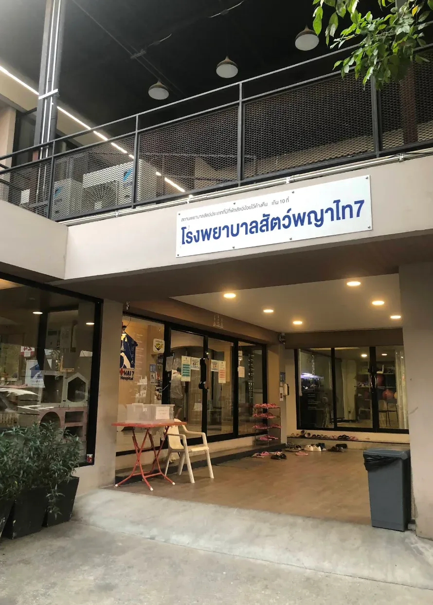 Phyathai 7 Animal Hospital คลินิก-โรงพยาบาลสัตว์ กรุงเทพมหานคร 4