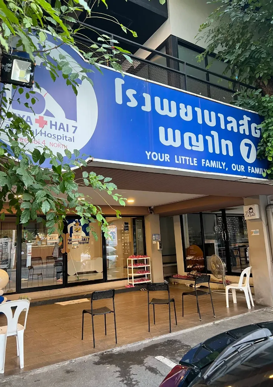 Phyathai 7 Animal Hospital คลินิก-โรงพยาบาลสัตว์ กรุงเทพมหานคร 5
