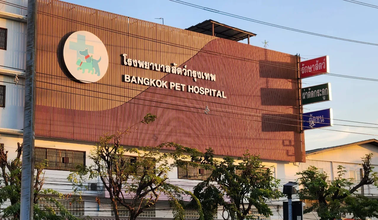 Bangkok Animal Hospital