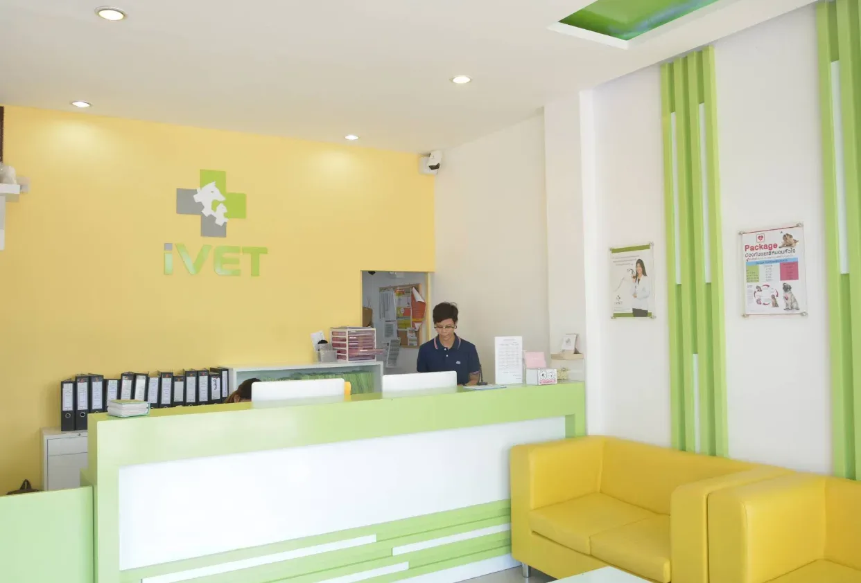 Ivet Hospital 24 Hours คลินิก-โรงพยาบาลสัตว์ กรุงเทพมหานคร 2