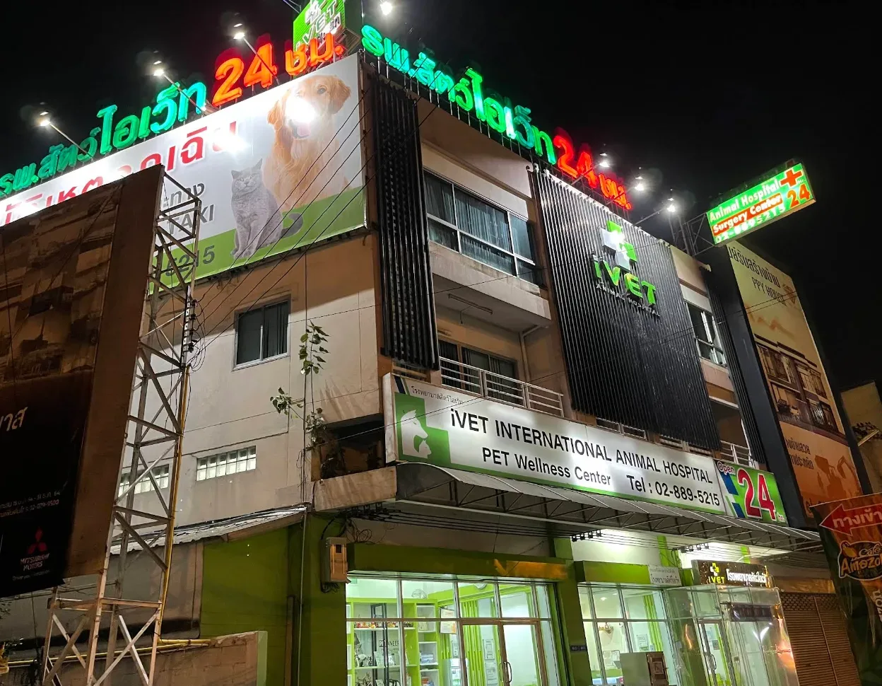 Ivet Hospital 24 Hours คลินิก-โรงพยาบาลสัตว์ กรุงเทพมหานคร 4