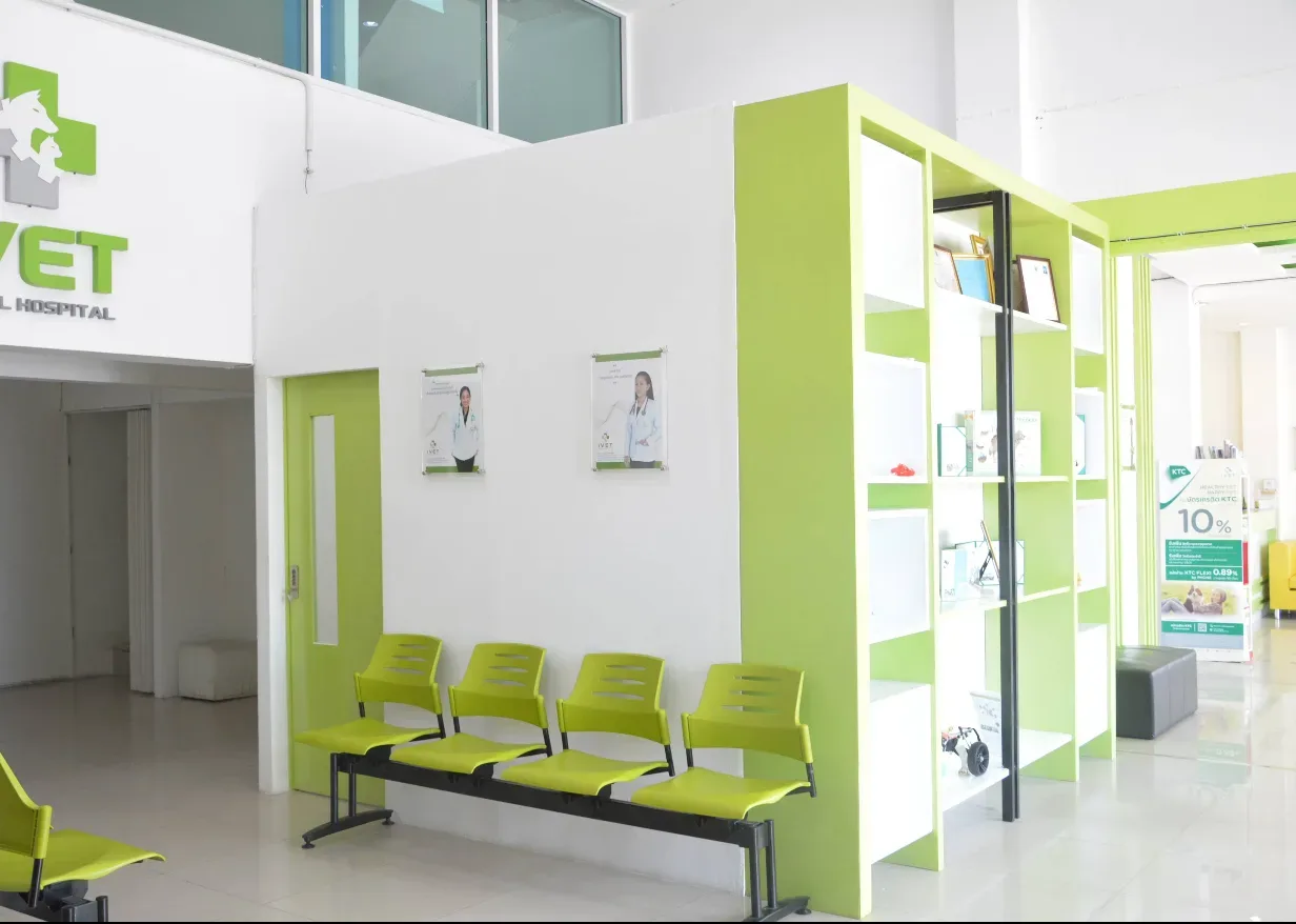 Ivet Hospital 24 Hours คลินิก-โรงพยาบาลสัตว์ กรุงเทพมหานคร 5