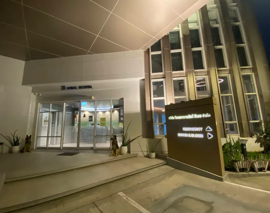 โรงพยาบาลสัตว์ ทีเอช (TH Animal Hospital) คลินิก-โรงพยาบาลสัตว์ กรุงเทพมหานคร 3