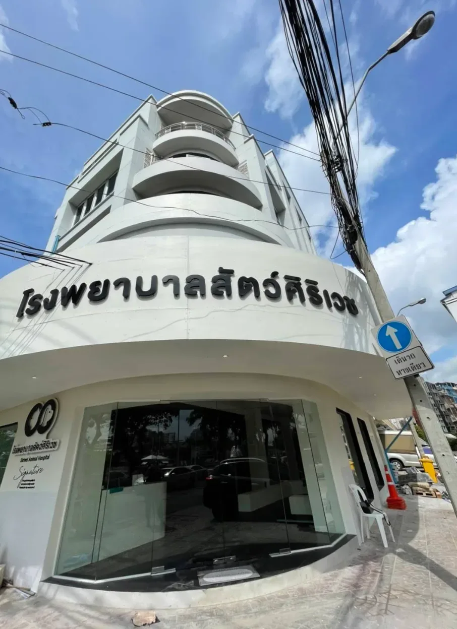 โรงพยาบาลสัตว์ศิริเวช หัวลำโพง คลินิก-โรงพยาบาลสัตว์ กรุงเทพมหานคร 3