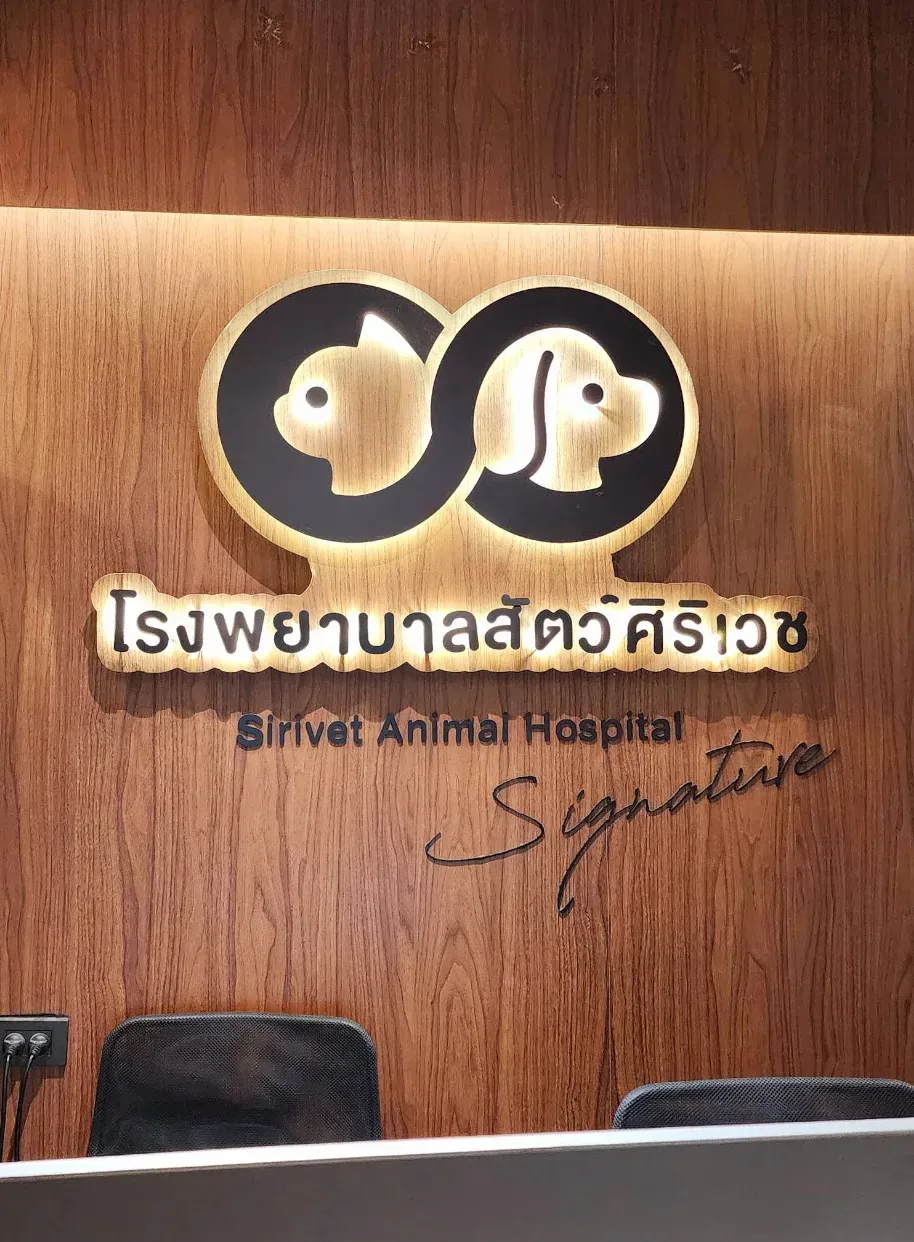 โรงพยาบาลสัตว์ศิริเวช หัวลำโพง คลินิก-โรงพยาบาลสัตว์ กรุงเทพมหานคร 4