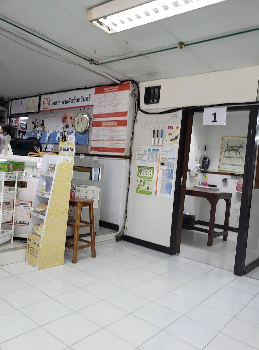 Nakarin Veterinary Hospital : โรงพยาบาลสัตว์นครินทร์ คลินิก-โรงพยาบาลสัตว์ กรุงเทพมหานคร 5