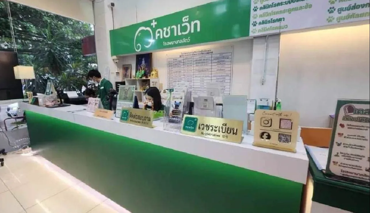 โรงพยาบาลสัตว์คชาเว็ท (Kachavet Pet Hospital) คลินิก-โรงพยาบาลสัตว์ กรุงเทพมหานคร 6
