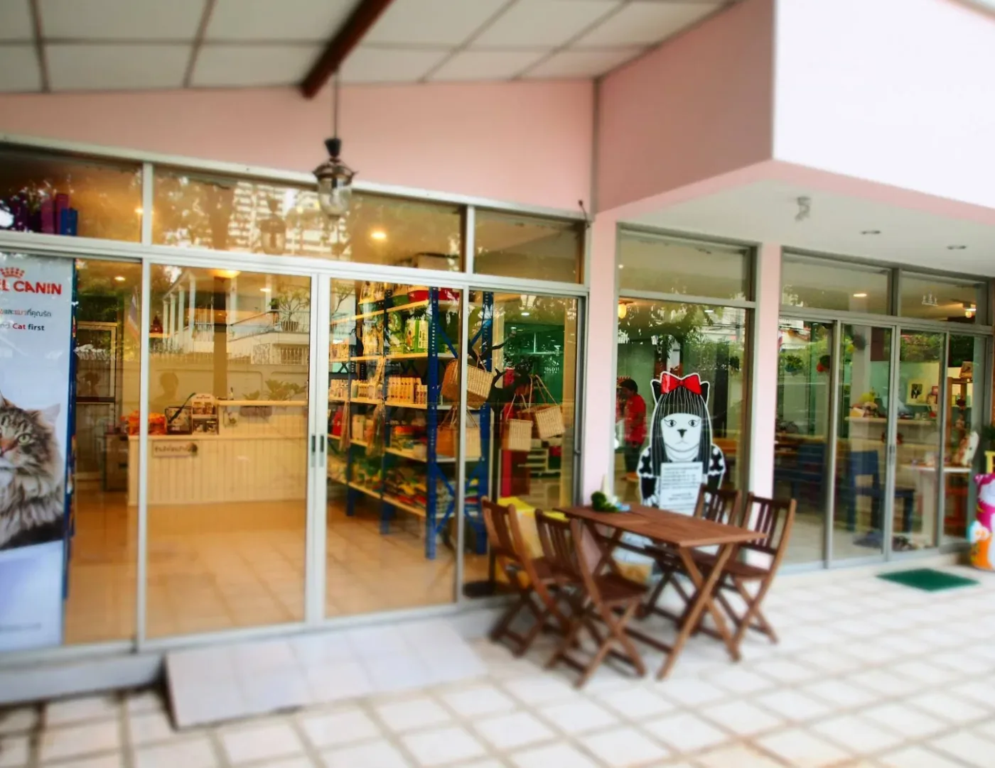 TLC Pet Clinic คลินิก-โรงพยาบาลสัตว์ กรุงเทพมหานคร 2
