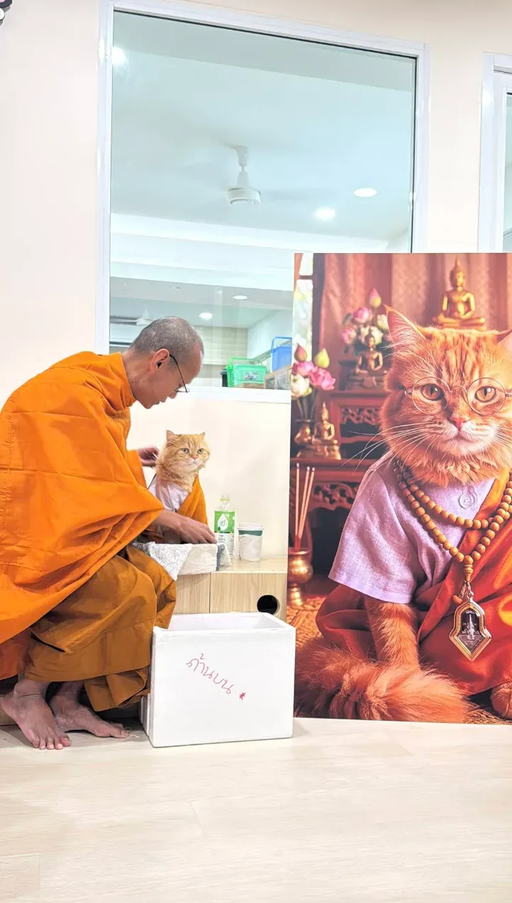 Wipawadee Pet Clinic คลินิก-โรงพยาบาลสัตว์ กรุงเทพมหานคร 2
