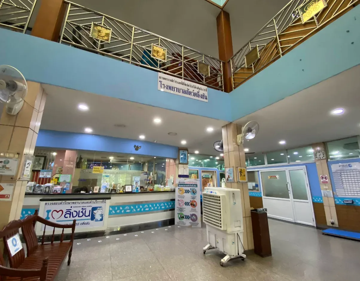 โรงพยาบาลสัตว์ตลิ่งชัน Talingchan Animal Hospital คลินิก-โรงพยาบาลสัตว์ กรุงเทพมหานคร 5