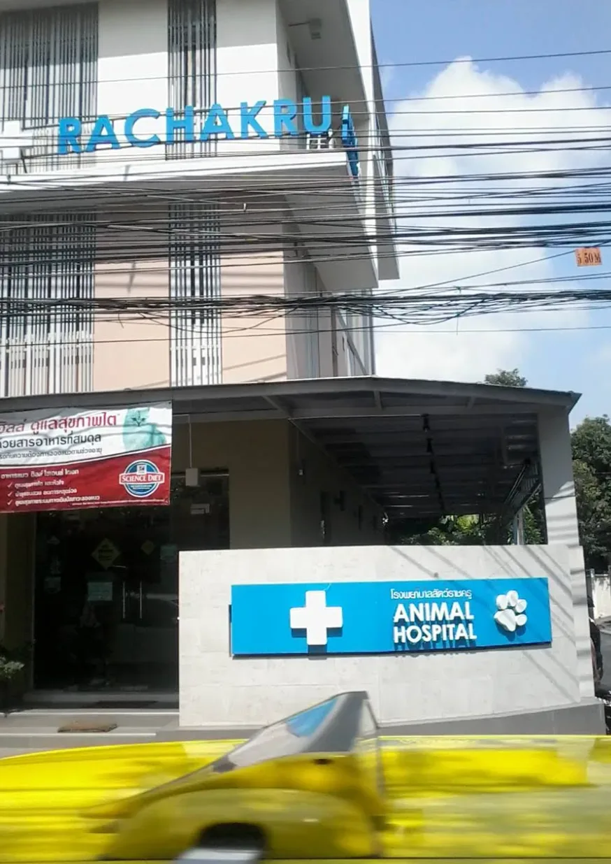 Rachakru Animal Hospital คลินิก-โรงพยาบาลสัตว์ กรุงเทพมหานคร 2