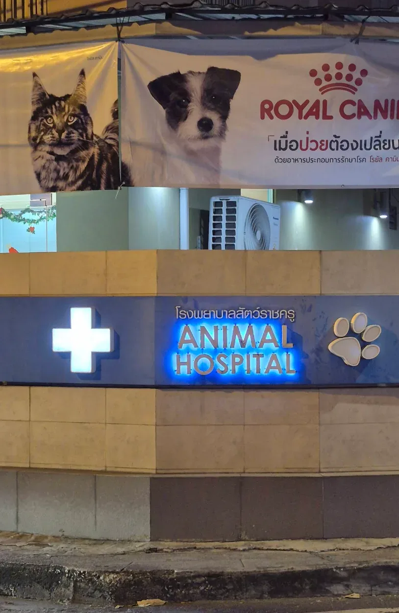 Rachakru Animal Hospital คลินิก-โรงพยาบาลสัตว์ กรุงเทพมหานคร 5