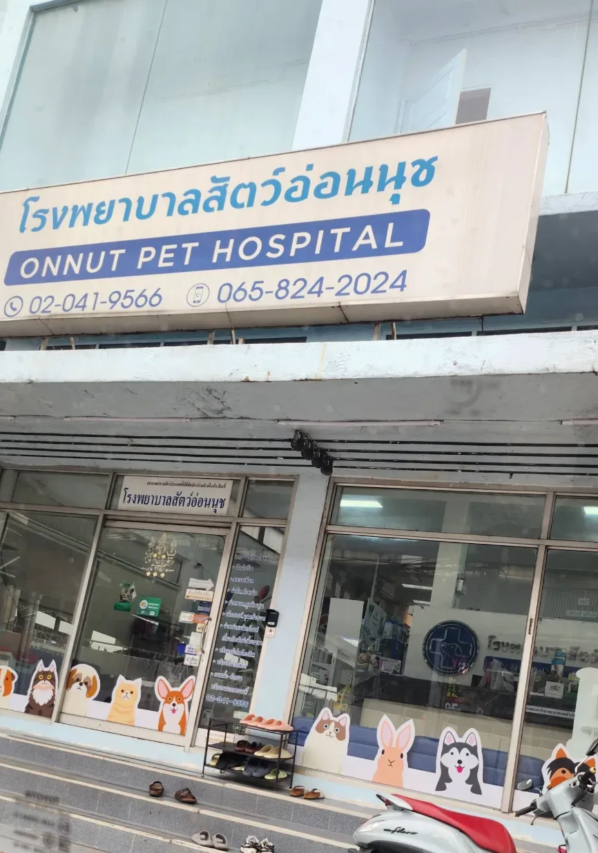 Onnut Pet Hospital – โรงพยาบาลสัตว์อ่อนนุช คลินิก-โรงพยาบาลสัตว์ กรุงเทพมหานคร 4
