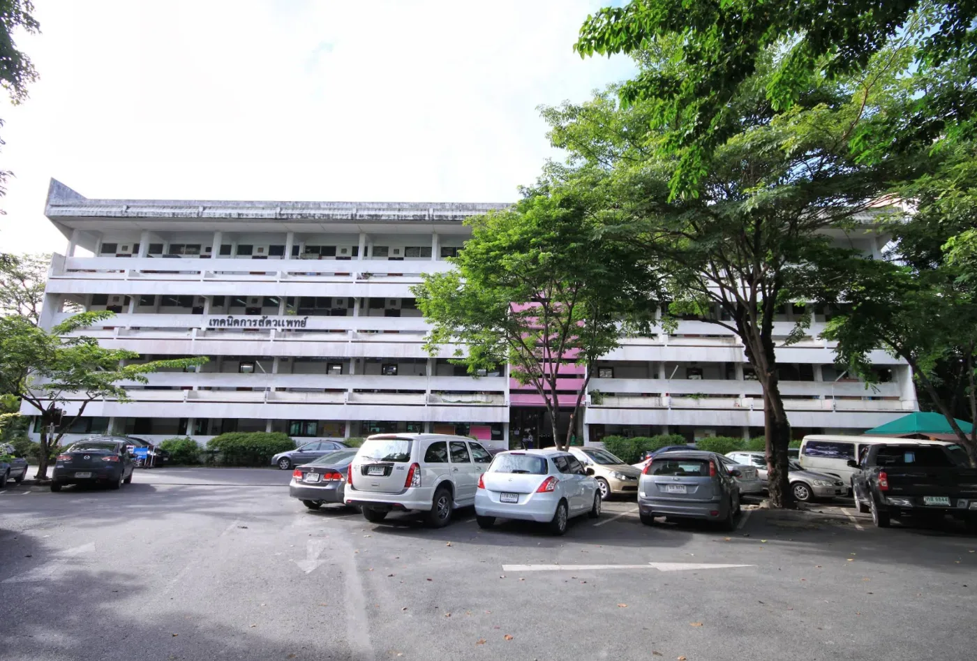 คณะเทคนิคการสัตวแพทย์ มหาวิทยาลัยเกษตรศาสตร์ คลินิก-โรงพยาบาลสัตว์ กรุงเทพมหานคร 4