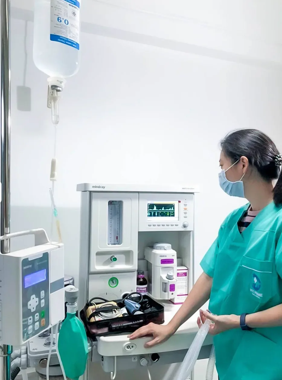 Pet Prime Animal Hospital คลินิก-โรงพยาบาลสัตว์ กรุงเทพมหานคร 3