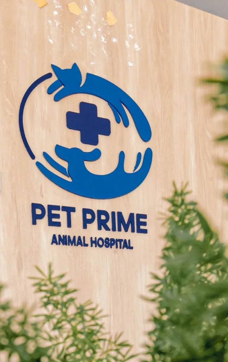 Pet Prime Animal Hospital คลินิก-โรงพยาบาลสัตว์ กรุงเทพมหานคร 4