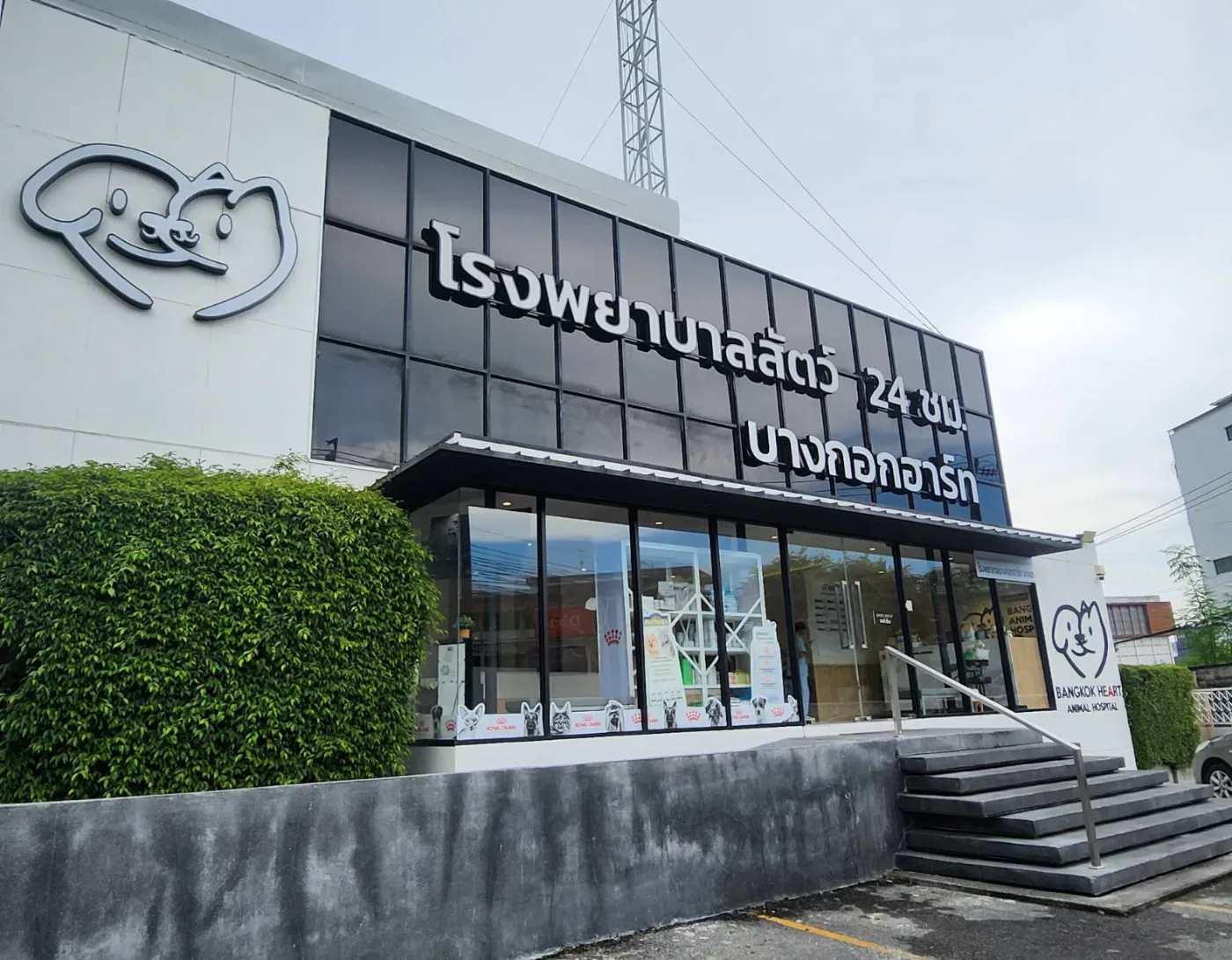 โรงพยาบาลสัตว์บางกอกฮาร์ท บางนา 24 ชั่วโมง : Bangkok Heart Animal Hospital Bang Na 24 Hrs คลินิก-โรงพยาบาลสัตว์ กรุงเทพมหานคร 5