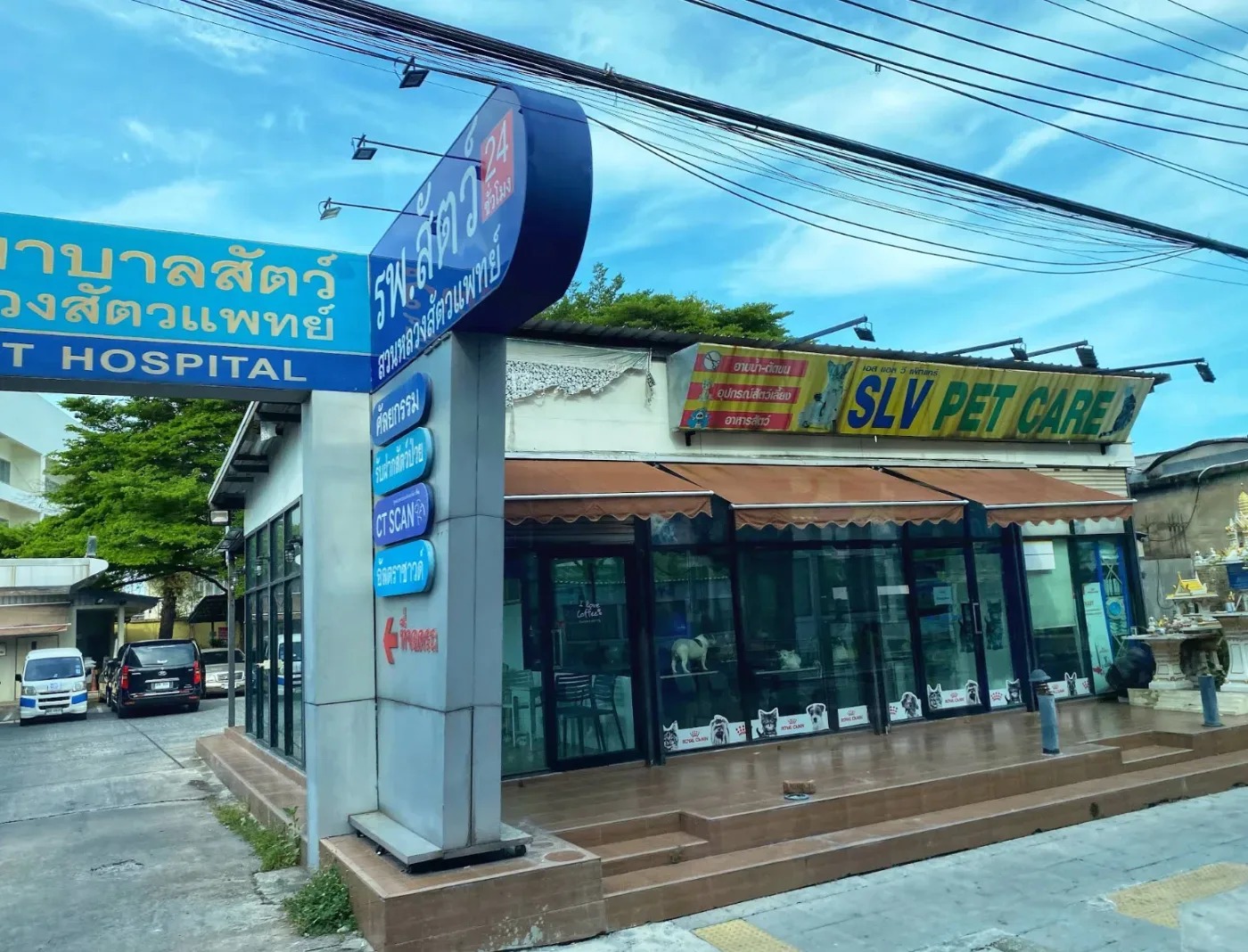 SLV Pet Hospital คลินิก-โรงพยาบาลสัตว์ กรุงเทพมหานคร 3