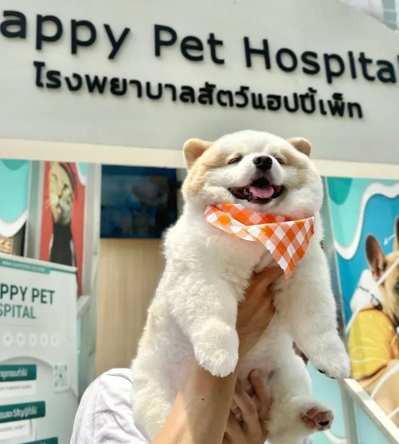 Happy Pet Hospital โรงพยาบาลสัตว์แฮปปี้เพ็ท คลินิก-โรงพยาบาลสัตว์ กรุงเทพมหานคร 5