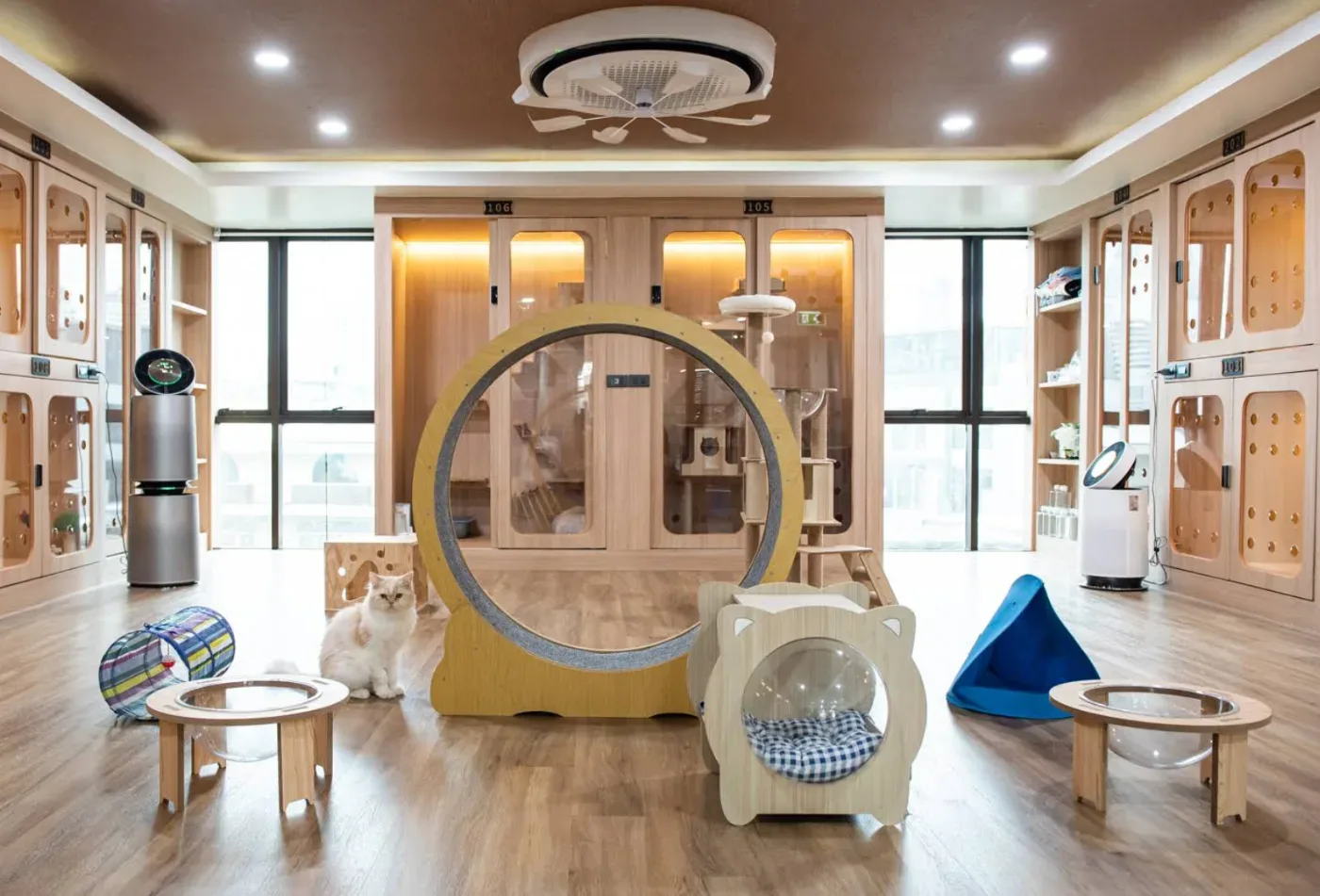 Happy Pet Hospital โรงพยาบาลสัตว์แฮปปี้เพ็ท คลินิก-โรงพยาบาลสัตว์ กรุงเทพมหานคร 6