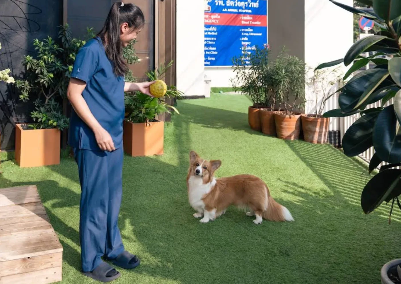 J.P. Animal Hospital คลินิก-โรงพยาบาลสัตว์ กรุงเทพมหานคร 5