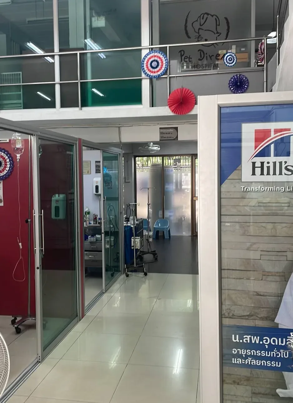 Pet Direct Hospital (Soi Thong lor 20) คลินิก-โรงพยาบาลสัตว์ กรุงเทพมหานคร 5