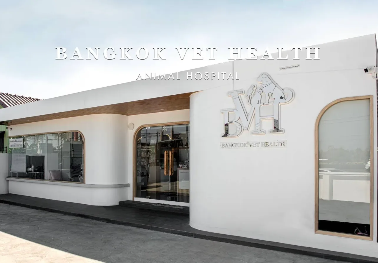 Bangkok Vet Health Animal Hospital คลินิก-โรงพยาบาลสัตว์ กรุงเทพมหานคร