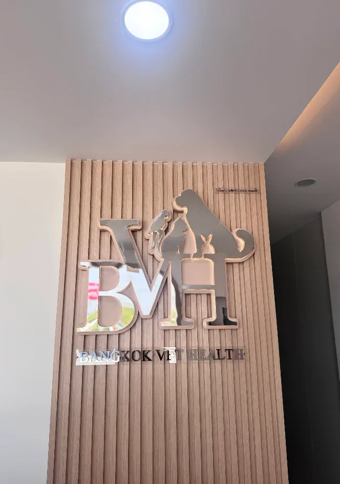 Bangkok Vet Health Animal Hospital คลินิก-โรงพยาบาลสัตว์ กรุงเทพมหานคร 4