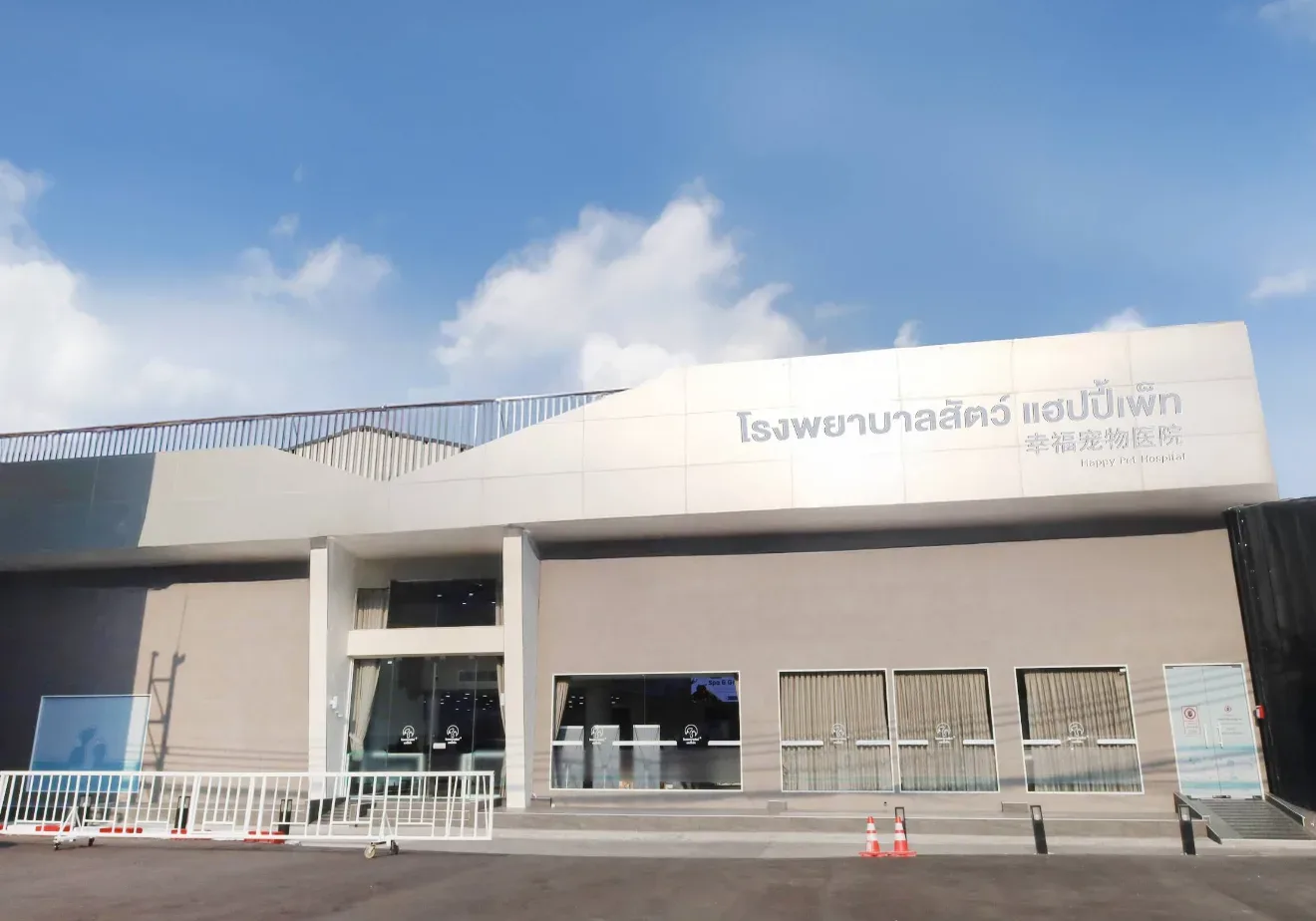 Happy Pet Hospital Ratchada โรงพยาบาลสัตว์แฮปปี้เพ็ท รัชดา คลินิก-โรงพยาบาลสัตว์ กรุงเทพมหานคร