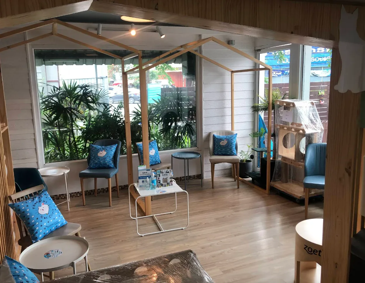 Thonglor Pet Hospital Pinklao โรงพยาบาลสัตว์ทองหล่อ สาขาปิ่นเกล้า คลินิก-โรงพยาบาลสัตว์ กรุงเทพมหานคร 4