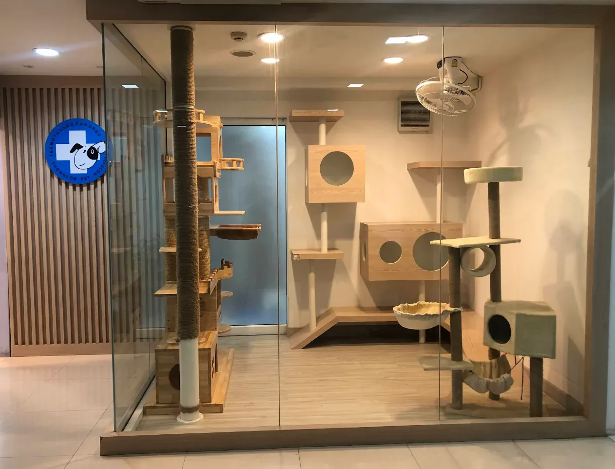 Thonglor Pet Hospital Pinklao โรงพยาบาลสัตว์ทองหล่อ สาขาปิ่นเกล้า คลินิก-โรงพยาบาลสัตว์ กรุงเทพมหานคร 6