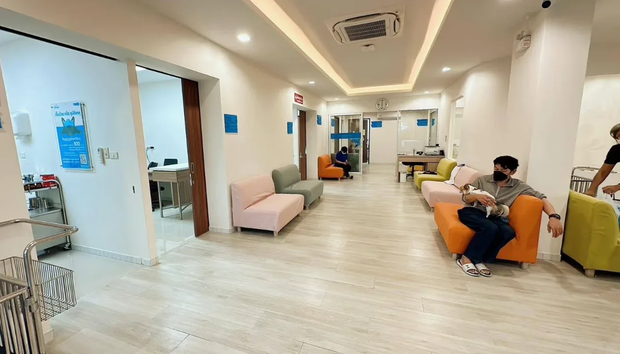 Thonglor Pet Hospital Rama 6 โรงพยาบาลสัตว์ ทองหล่อ สาขา พระราม 6 คลินิก-โรงพยาบาลสัตว์ กรุงเทพมหานคร 2