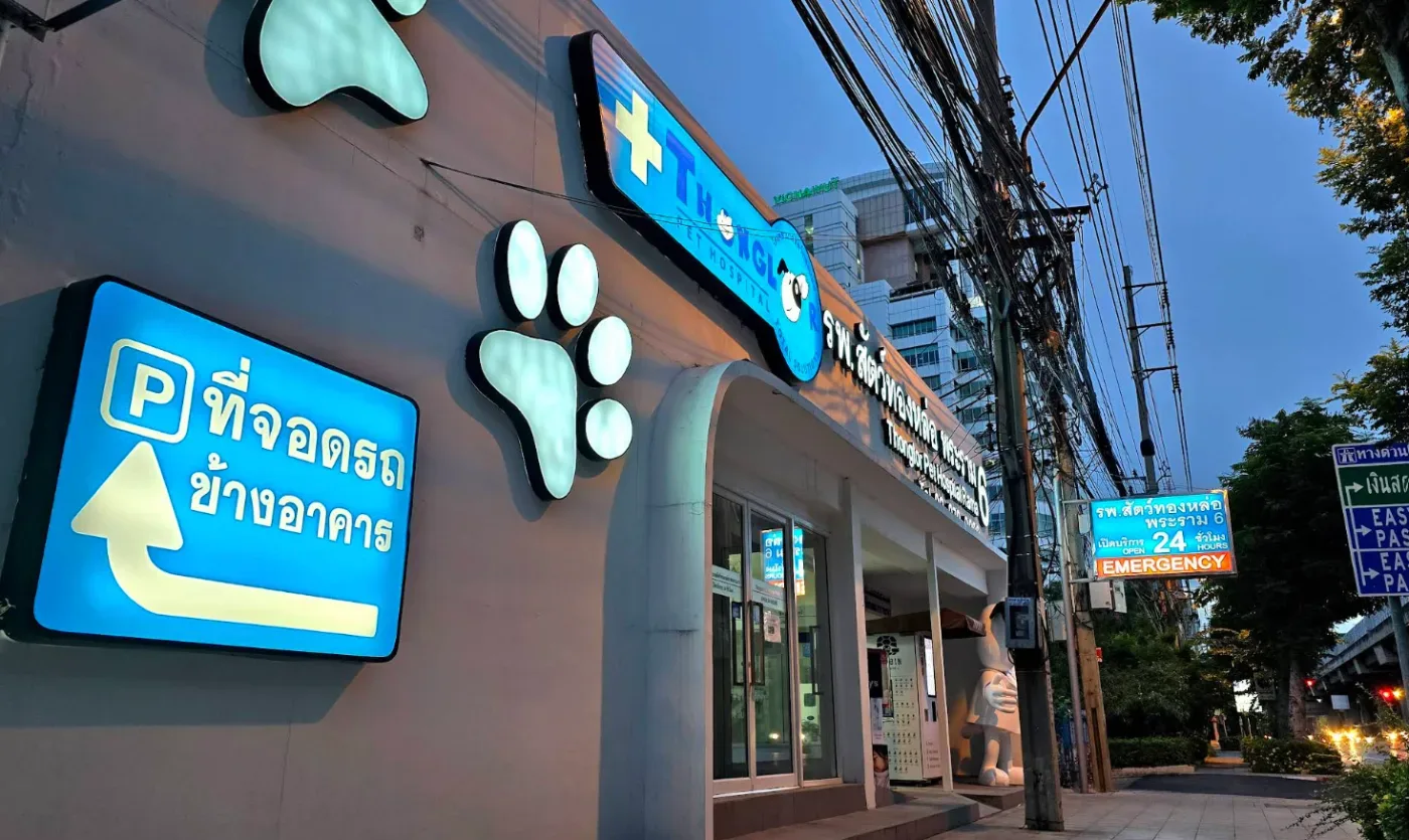 Thonglor Pet Hospital Rama 6 โรงพยาบาลสัตว์ ทองหล่อ สาขา พระราม 6 คลินิก-โรงพยาบาลสัตว์ กรุงเทพมหานคร 6