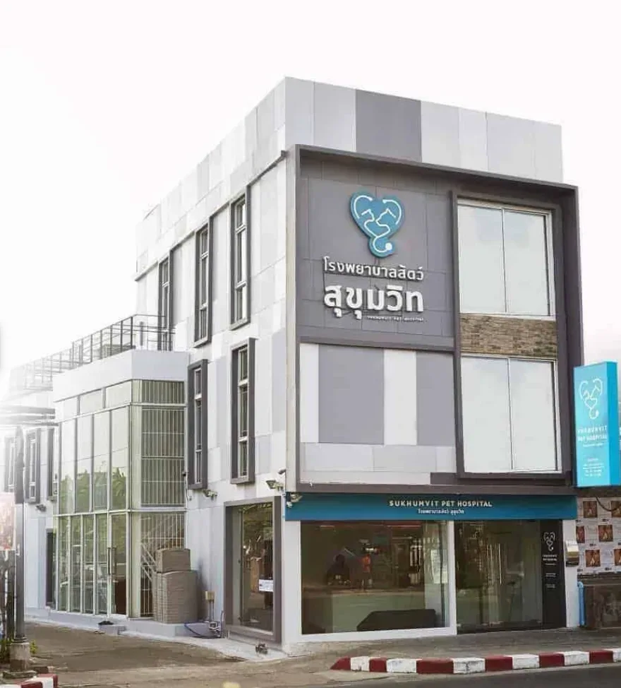 โรงพยาบาลสัตว์สุขุมวิท SUKHUMVIT PET HOSPITAL