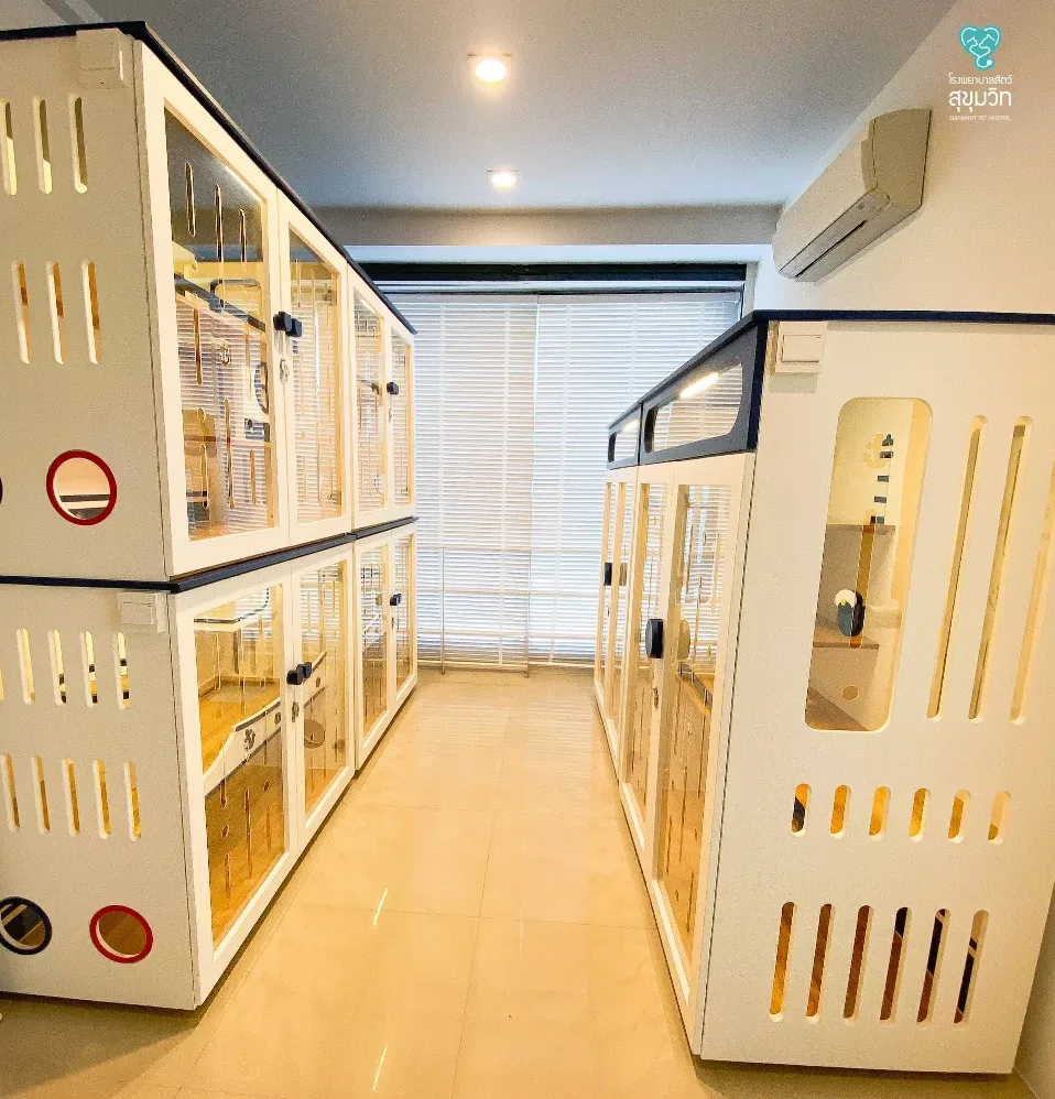 โรงพยาบาลสัตว์สุขุมวิท SUKHUMVIT PET HOSPITAL คลินิก-โรงพยาบาลสัตว์ กรุงเทพมหานคร 6