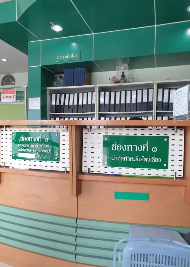 คลินิกสัตว์แพทย์ กรุงเทพมหานคร ๗ บางกอกน้อย คลินิก-โรงพยาบาลสัตว์ กรุงเทพมหานคร