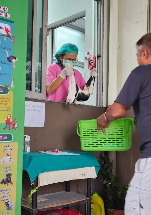คลินิกสัตวแพทย์กทม 3 วัดธาตุทอง คลินิก-โรงพยาบาลสัตว์ กรุงเทพมหานคร 3